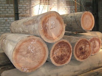 Fresh keruing Round Logs For Plywood And Veneers