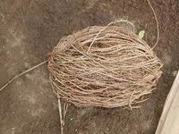 Sabai Grass Yarn
