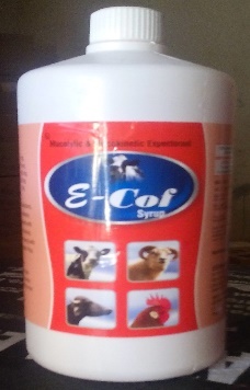 Oral Antibiotic