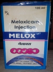 Enrofloxacin Injection