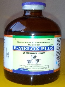 Meloxicam Paracetamol