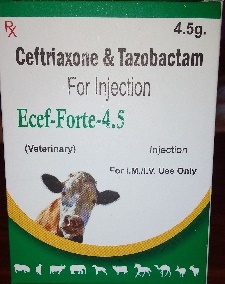 Ceftriaxone Tazobactam