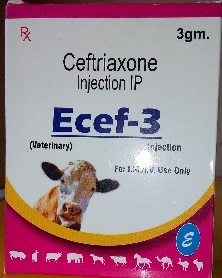 Ceftriaxone Injection