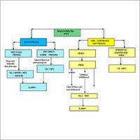 Cooking Oil Refinery Plants