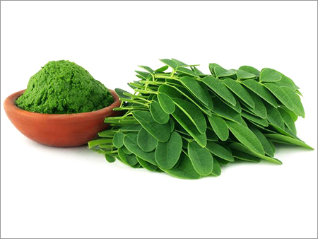 Moringa Leaves Powder