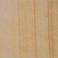 Mint Desert Sandstone