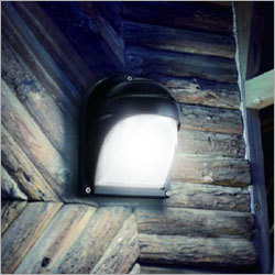 Outdoor Lights