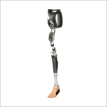 Artificial Limbs For Through Hip Artificial Limbs For Through Hip