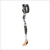 Artificial Limbs For Through Hip