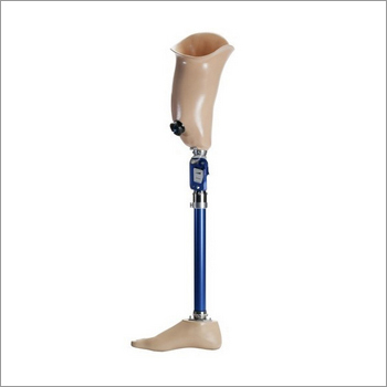 Artificial Limbs For Through Knee