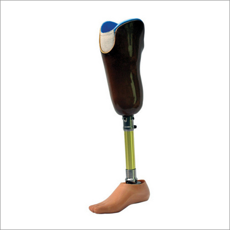 Artificial Limbs For Below Knee Artificial Limbs For Below Knee