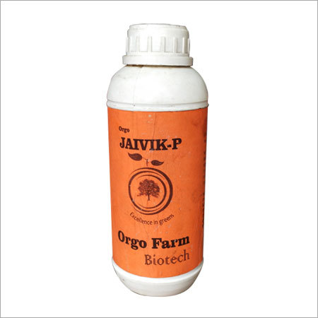 Phosphate Solubilizing Bacteria