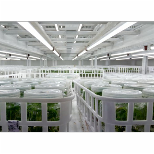 LED Grow Light - Aluminium, 20-60 Watt Input, White Color | Extra Efficient Heat Sink, Driverless Technology, Waterproof Housing