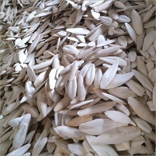 Cuttlefish Bone Trimmed And Cleaned