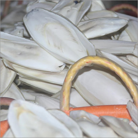 Good Cuttlefish Bone