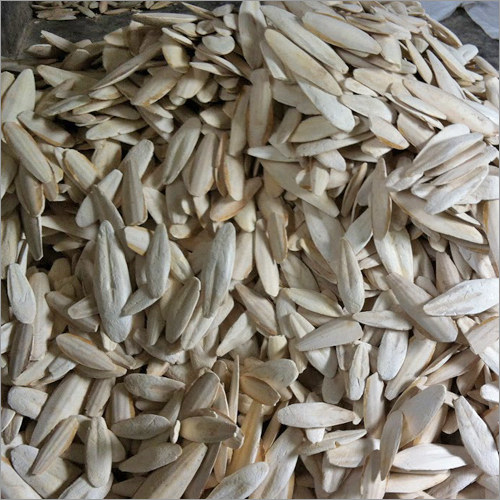 Trimmed Cuttlefish Bone