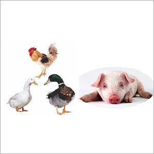 Universal Multi-Vitamin for Livestock Universal Multi-Vitamin for Livestock