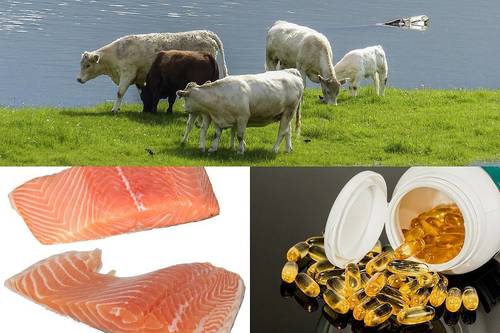 High-Fat Cod Liver Oil - 500ml | Promotes Healthy Growth, Boosts Immunity, Enhances Vitamin Absorption, Supports Bone Health, Aids in Skin Healing