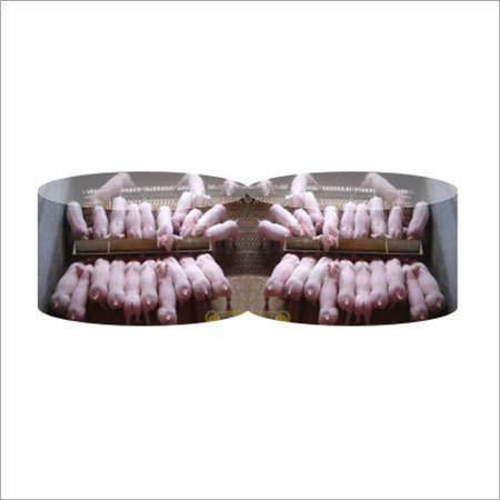 Herbal Medicine For Swine Efficacy: Promote Healthy