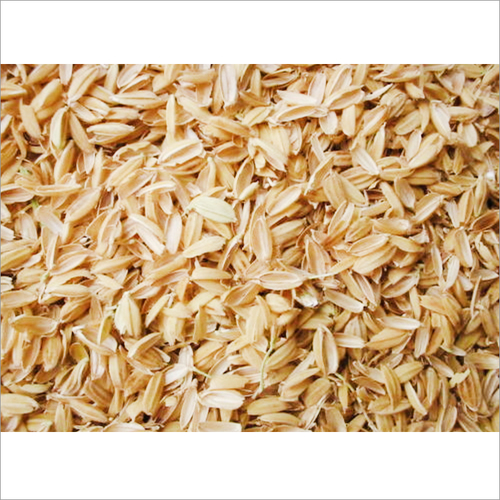 Rice Husk cattle