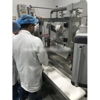 IV Soft Bag Filling and Sealing Machine