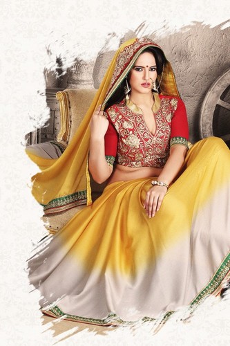 Designer Saree