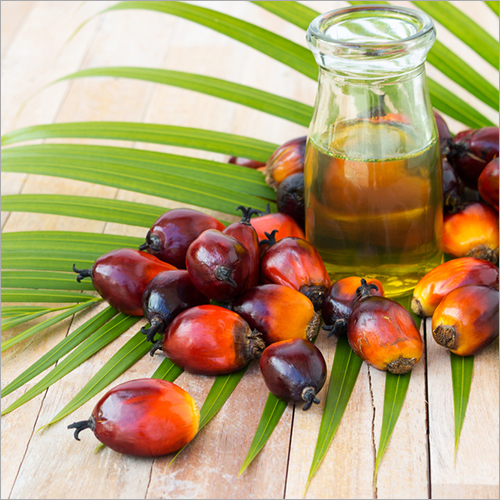 Palm Oil
