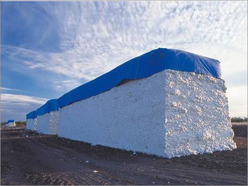 Cotton Lot