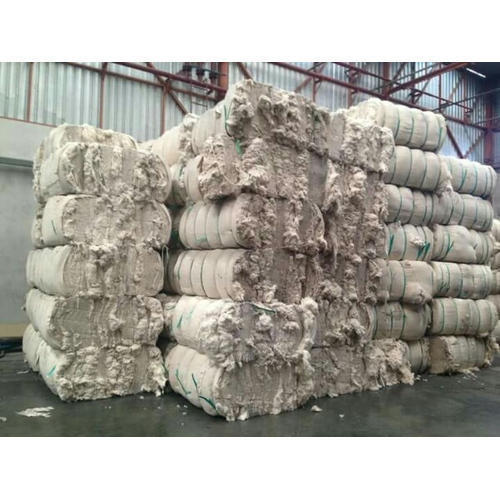 Short Fiber