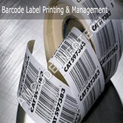 Barcode Printer Job Work