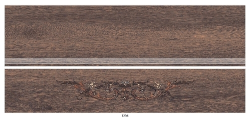 Designer Step Riser