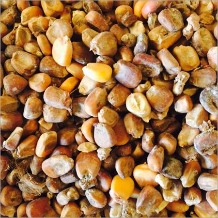 Dry Corn