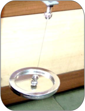 Torsion Pendulum By Reliant Lab