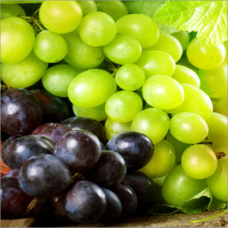 Fresh Grapes