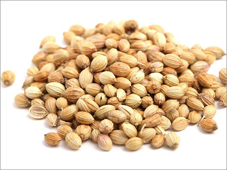 Coriander Seeds