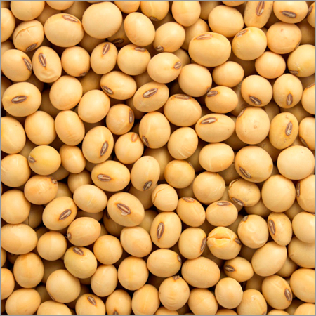 Organic Soybean