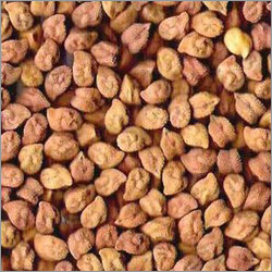 Black Chana