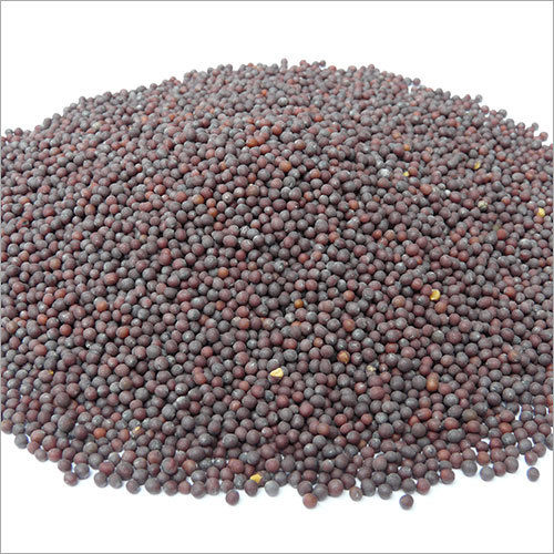 Black Mustard Seeds (Rai)