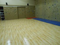 Sports Room Flooring