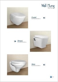 Wall Mounted Toilet