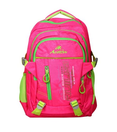 Pink School & College Backpack