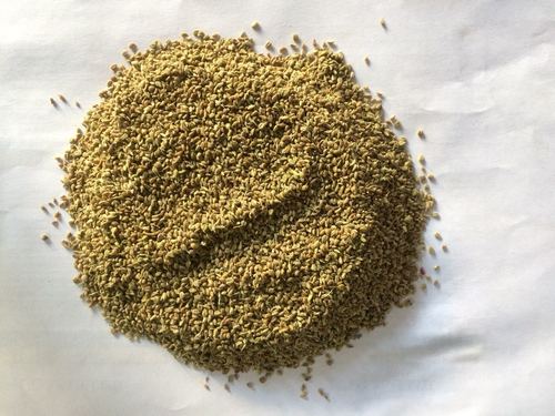 Ajwain