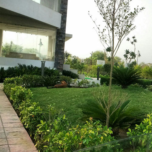 Residencial Desiging Service