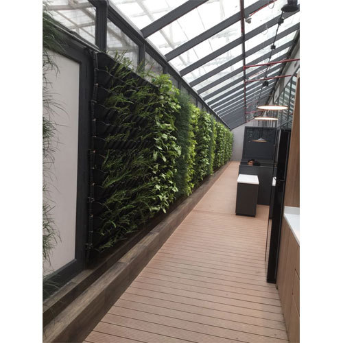 Vertical Garden Desiging Service