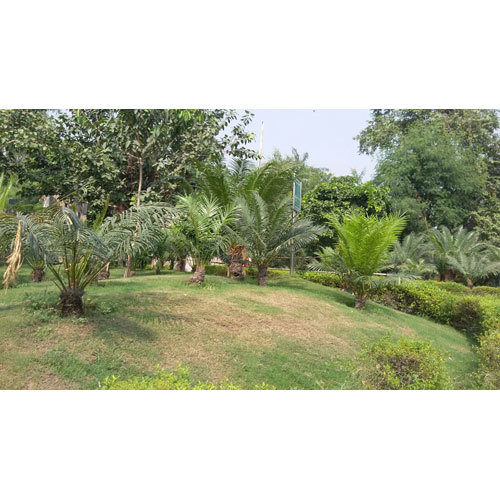 Garden Maintenance Service