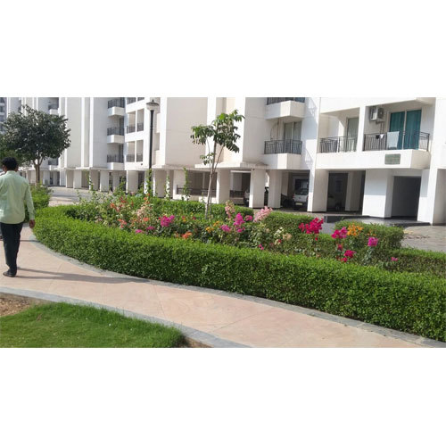 Residential Garden Maintenance Service