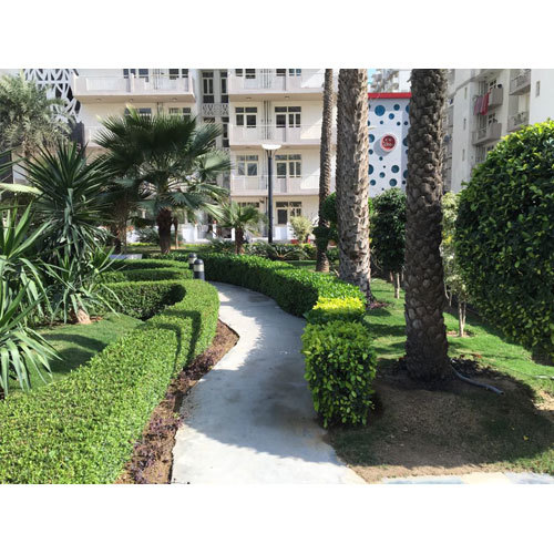 Landscaping Designing Services