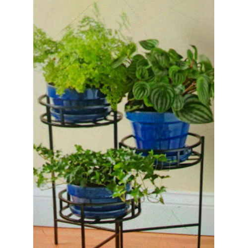 Front Door Planter Plant