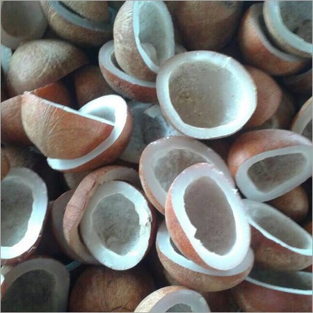 Fresh Coconut Copra