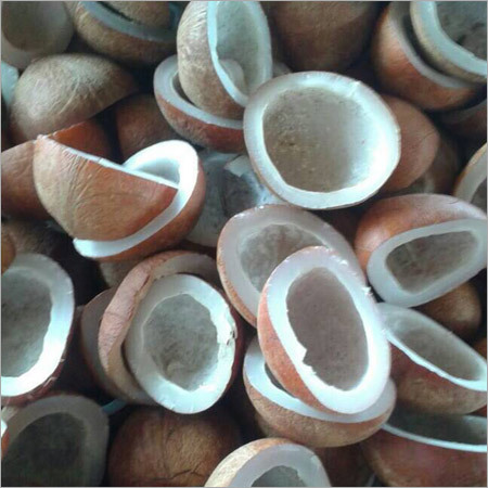 Fresh Coconut Copra